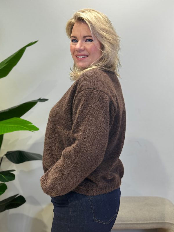 Jasje Brenda brown - Afbeelding 4