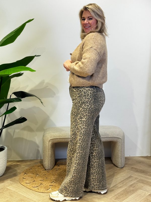 Vestje Puck beige - Afbeelding 2
