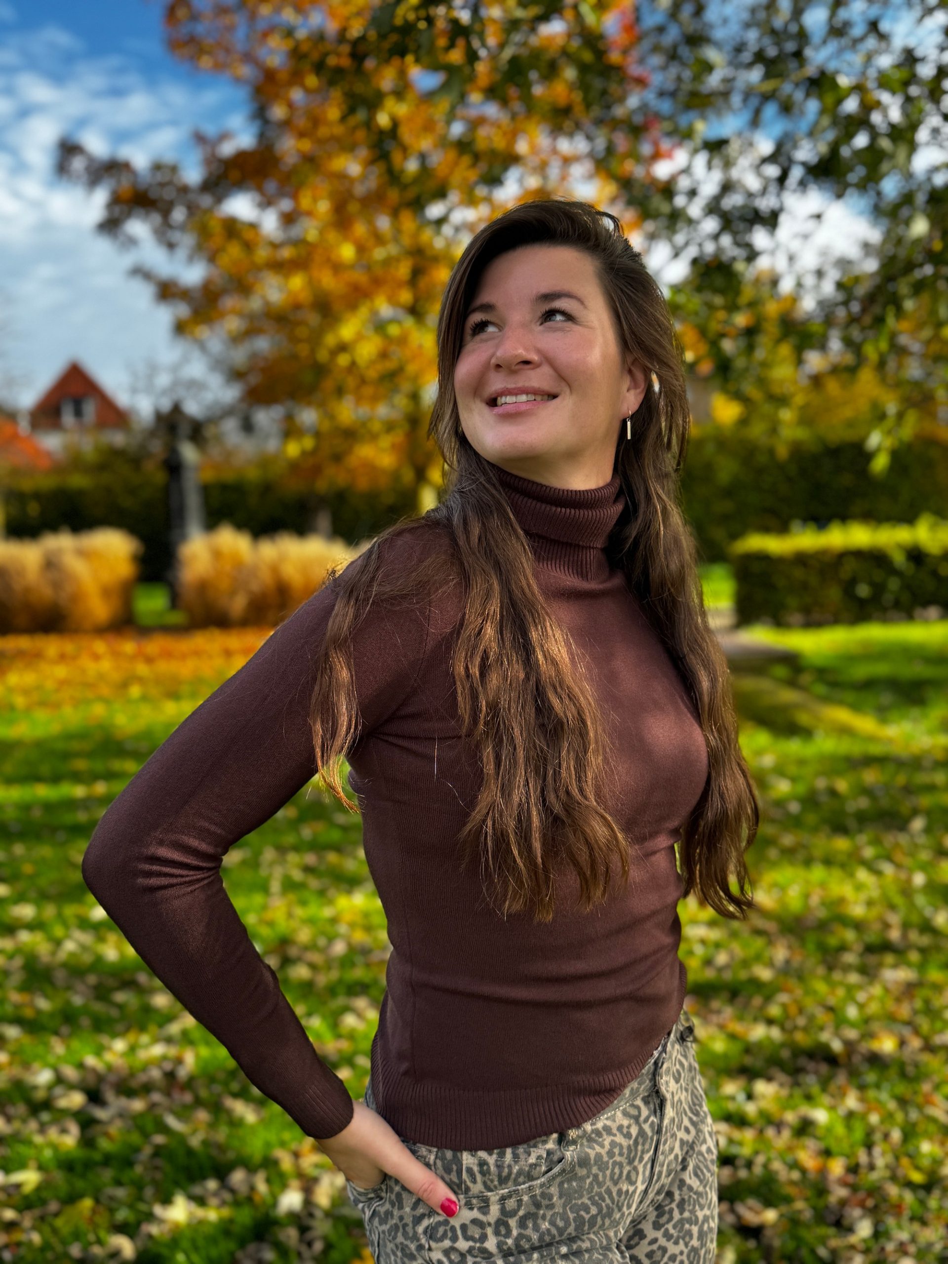 Coltruitje Ilse choco - Afbeelding 2