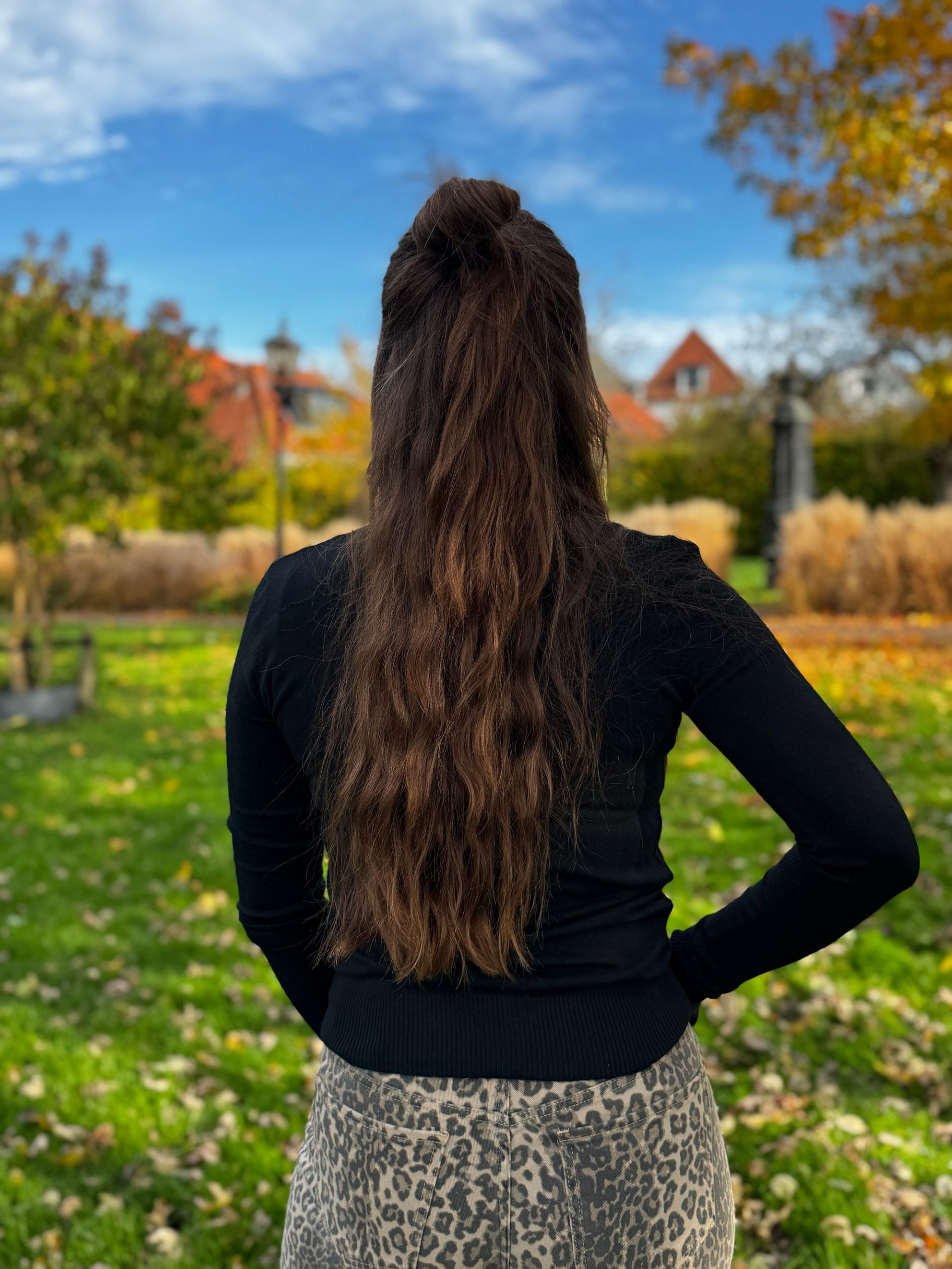 Coltruitje ilse zwart - Afbeelding 5