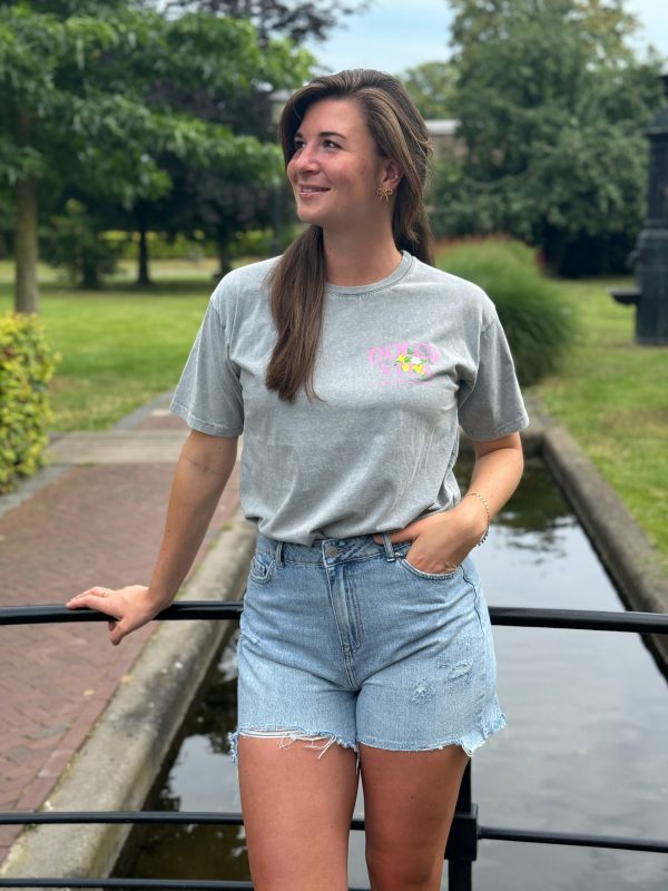 Shirtje Dolce Vita lichtgrijs