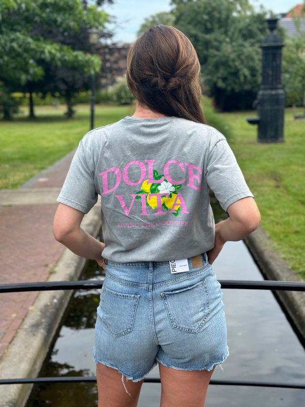 Shirtje Dolce Vita lichtgrijs - Afbeelding 2