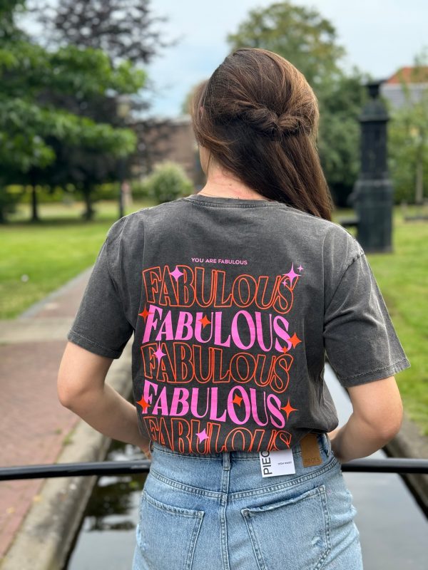 Shirtje Fabulous grijs - Afbeelding 2