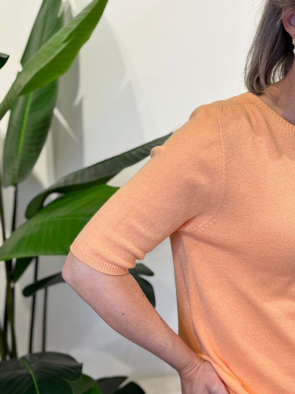Truitje Naomi koraal - Afbeelding 5